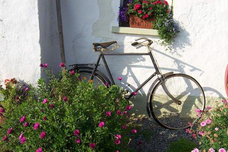 Ireland - flowers, bicycle, ireland, cottage