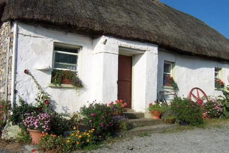 cottage - cottage, nature, flowers, ireland