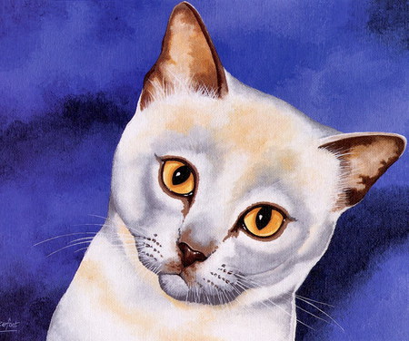 Brian Barfoot painting - painting, art, cat, brian barfoot, feline, kitten