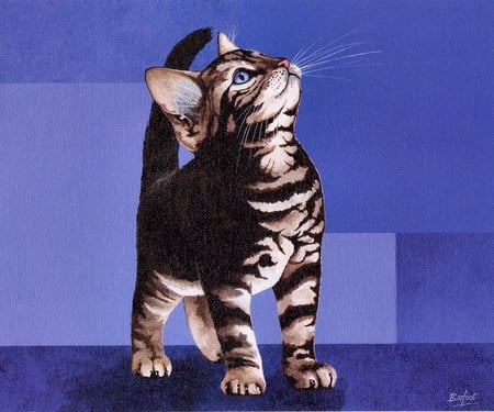 Tabby cat * Brian Barfoot - tabby, painting, art, cat, brian barfoot, feline, kitten