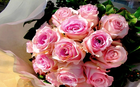 PINK ROSES for JERI(mememe1) - jeri, roses, pink, appreciation gift, bouquet