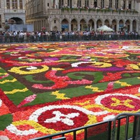 flower carpet