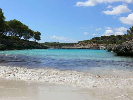 dream bay - beach, nature, water, outdoors