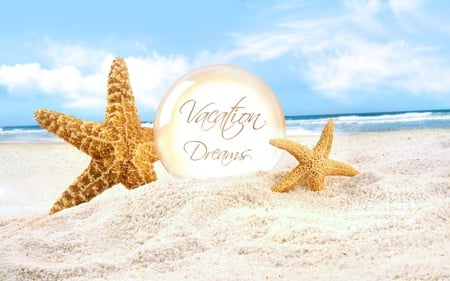 Vacation Dreams - dreams, tropics, view, summer time, holiday, shell, tropical, waves, nature, romantic, beautiful, rest, sea, nice, beauty, sky, beach, peaceful, water, vacation, starfish, pretty, sea stars, clouds, cute, sand, sands, ocean, stars, summer, ball, shore, lovely, exotic, blue, starfishes, colors