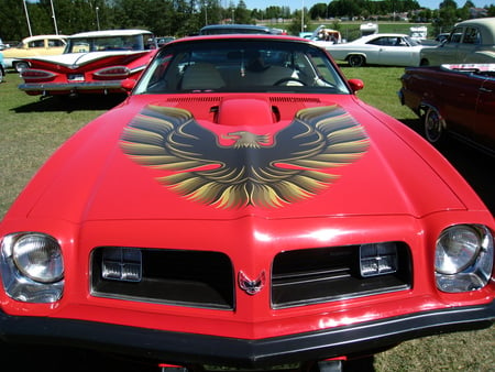 Power AmericaFest - eagle, grass, car, red