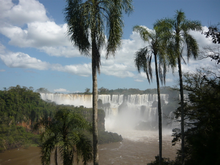 Iguazu Falls - river, palms, panoramic, falls