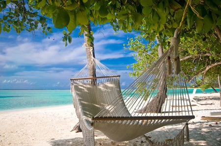 A nice place for Jeri... - trees, beach, hammock, sea, to laze about