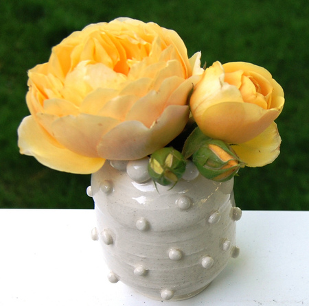 yellow roses - vase, yellow, still life, roses