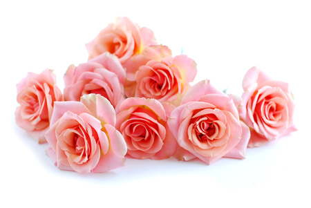 Beautiful roses - beauty, beautiful roses, pink roses, roses, pink, bouquet, flowers