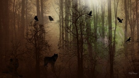 Deep in the Forest - moon, trees, birds, raven, forest, light, firefox persona, wolves, crow, twilight, shine, woods