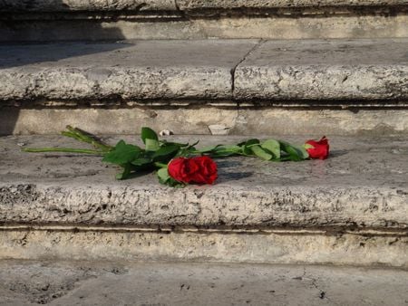 red roses - spanish, roses, red, steps, rome