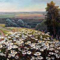 Panov, Edward. Field of daisies.