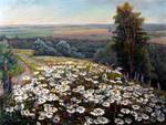 Panov, Edward. Field of daisies.