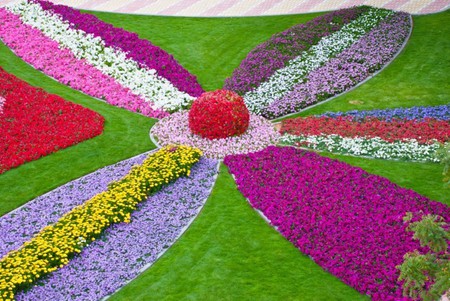 Flowers in the Round - purple, annuals, yellow, pink, red, green, gardens, flowers