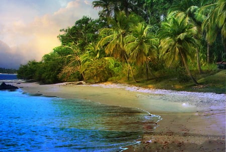 Paradise - sand, palm, plants, island, palmtrees, paradise