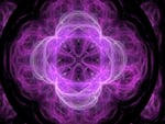 Purple fractal