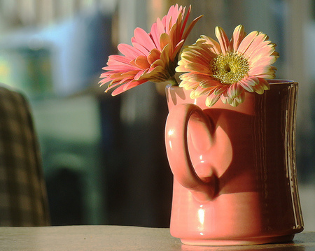 still life - two, still life, gerbera, jag