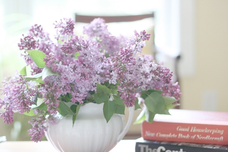 lilacs - white, blue, lilacs, jag, still life