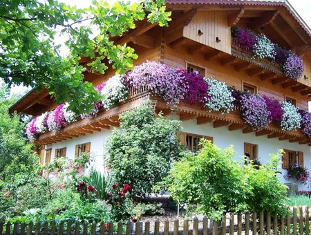 House flowers - vegetation, house, relaxing place, summer, beautiful, photography, lovely, architecture, flowers, outdoors, nature, green, balcony, color