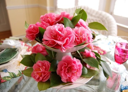 Pink flower arrangement - roses, photography, colorful, abstract, floral, arrangement, pink, flowers, natural