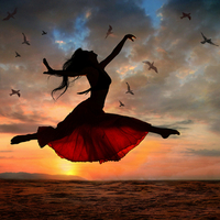 dreams make you fly