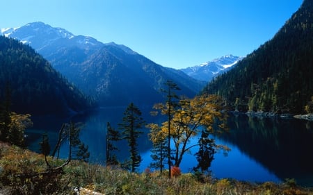 BLUE LAKE - trees, blue, foggy, plants, lake, mountain