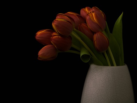 Red tulips - flower, still life, nature, tulips