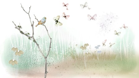 Soft World of Summer - soft, light, summer, field, bird, flowers, grass, firefox persona, butterflies