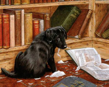 Only reading... - black, puppy, labrador, newspaper