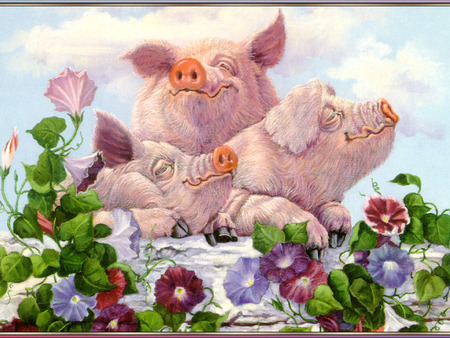 Happy pigs - 3 pics, sky, clouds, happiness, flowers