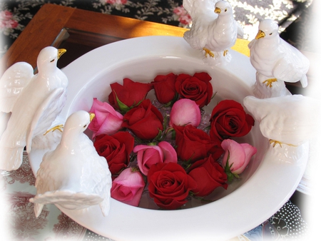 The Gathering Place - white, roses, red, still life, birds, bowle