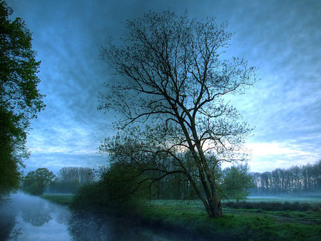 Morning Mist - river, trees, blue, mist, morning