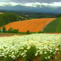 Hokkaido  Hanada