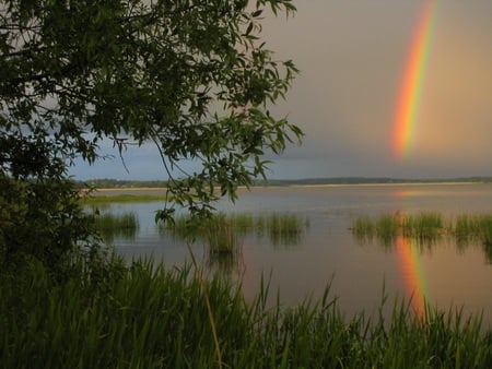 Rainbow Valley - rainbow, lake, tree, grasses