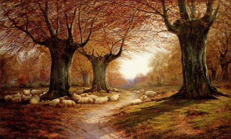 Time to Rest - path, trees, sheep, autumn, woodland, grass, animals