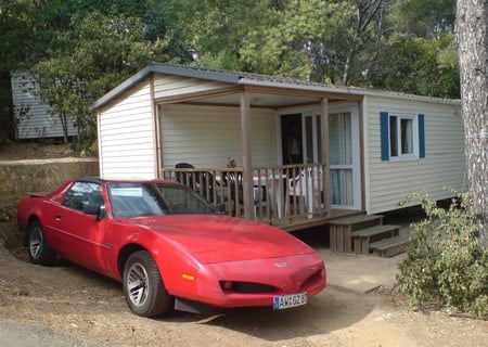 Firebird - firebird, cars, beauty, pontiac