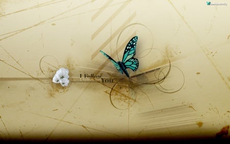 I Follow You - graphic, teal, butterfly, follow