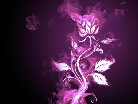 Magenta Flower - smoke, flower, magenta, purple