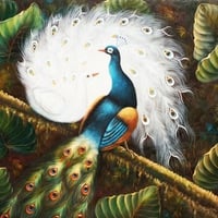 Peacock Roost