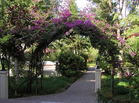 mediterranean garden - mediterranean, arch, countryside, summer, flowers, garden