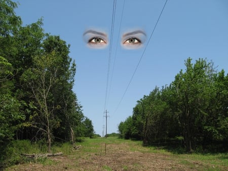 eye's in the blue - poles, eyes, trees, sky