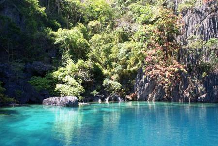 Lagoon - vegetation, lagoon, water, nature, view, photography, exotic, color