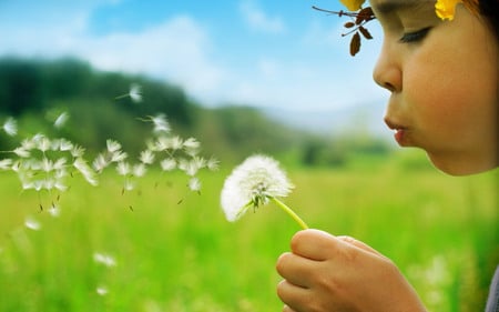  innocent wishes - sky, girl, field, innocent, child, nature, white, weeds, clouds, dandelion, blue, wish, green, flowers, cute