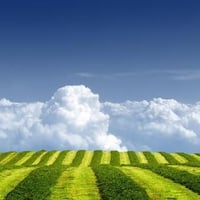 Thick-clouds-over-the-green-meadow