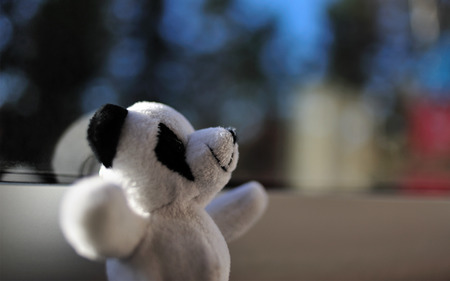 Biiig Hug! - white, hug, stuffie, stuffed animal, panda, black, cute