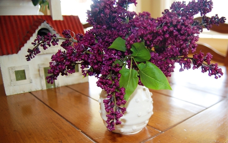 lilacs - purple, flowers, vase, still life, lilacs