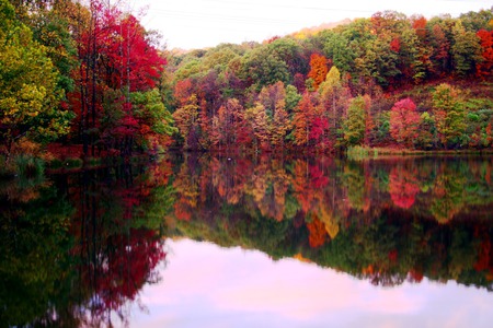 Quiet Reflection - fall, autumn, trees, splendor, color