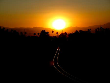 Sunset Tracks - palm trees, sunset, train tracks, california