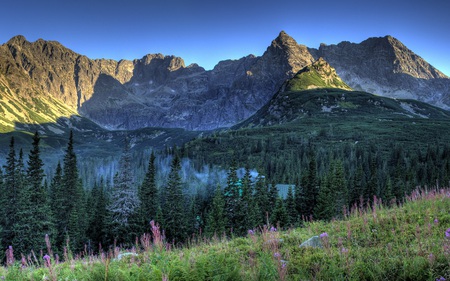 Gasenicowa Glade at Dusk - valley, serene, forests, mountains, calm, nature, beautiful, blue, skies, afternoon, late