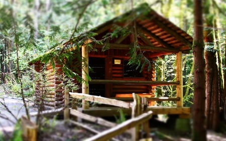 Toy Cabin - forest, clam, beautiful, picturesque, cabin, quaint, serene, evergreens, architecture